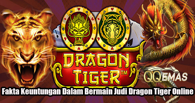 Fakta Keuntungan Dalam Bermain Judi Dragon Tiger Online